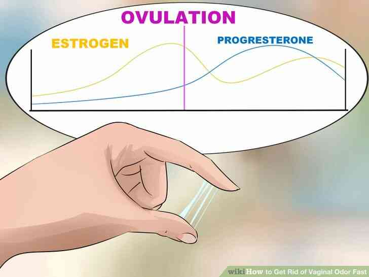 Image intitulé de se Débarrasser de l